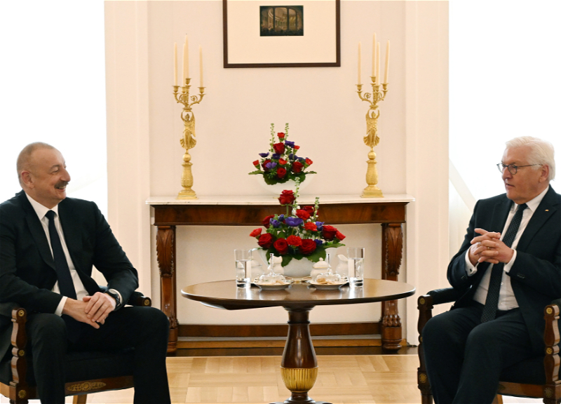 Состоялась встреча Президента Ильхама Алиева с Президентом Германии Франком-Вальтером Штайнмайером в расширенном составе - ФОТО