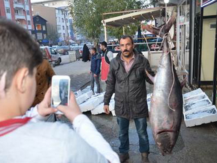 Купленная в Азербайджане рыба стала в Турции сенсацией - ФОТО