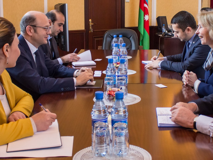 Прошла встреча главы Минэнерго Азербайджана с послом Великобритании 