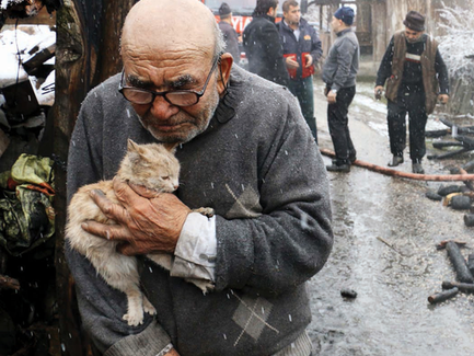 Старик и кошка: В Турции одна-единственная фотография объединила нацию – ФОТО - ВИДЕО