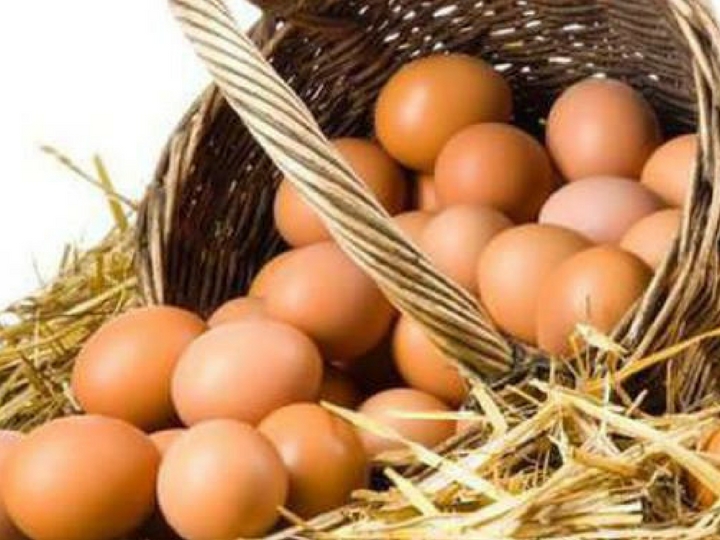 Nazirlik: Laborator müayinələr nəticəsində yumurtaların keyfiyyətində heç bir nöqsan aşkar edilməyib