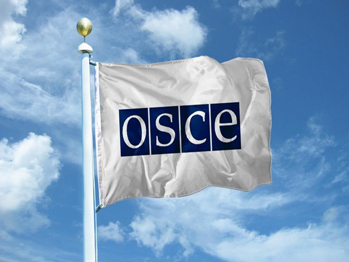 Эксперты ОБСЕ определят формат наблюдательной миссии на выборы в Азербайджане