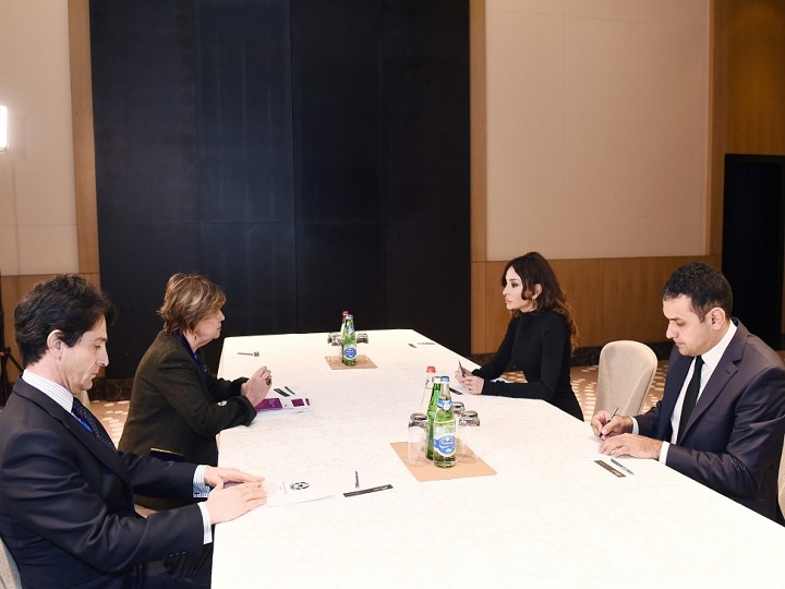 Mehriban Əliyeva İtaliya Senatının vitse-prezidenti ilə görüşüb - FOTO - YENİLƏNİB