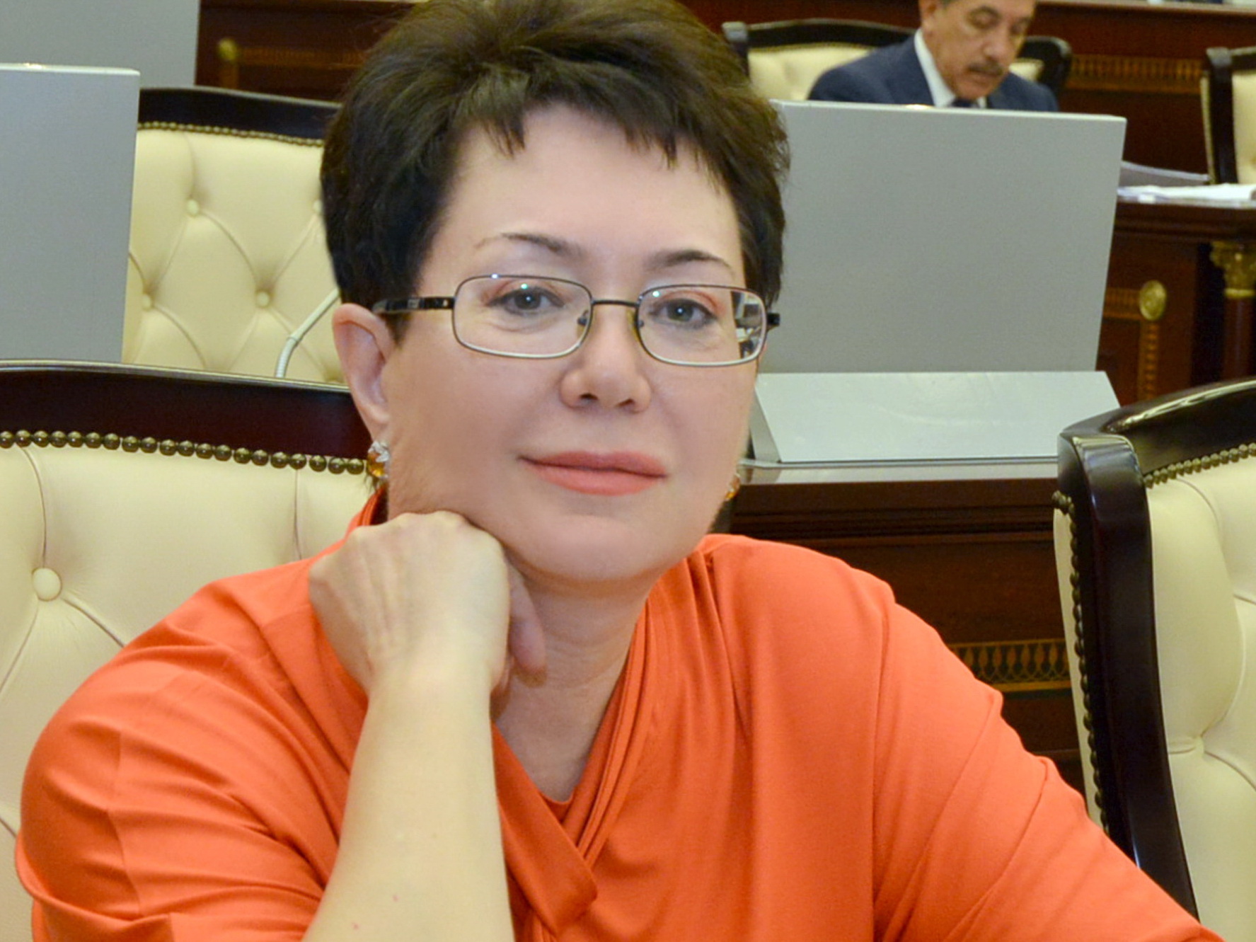 Депутат Эльмира Ахундова обратилась к прессе