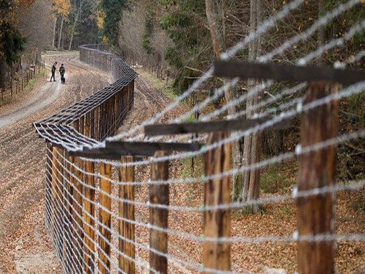 Дания построит забор на границе с Германией