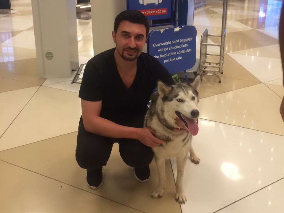 Судьба одной собаки: Как Turkish Airlines предлагали хозяевам бросить своего питомца прямо в аэропорту – ФОТО – ВИДЕО