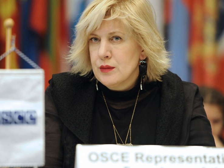 Комиссар Совета Европы по правам человека прибудет в Армению