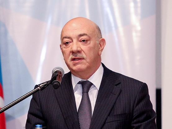 Фуад Алескеров: Благодаря деятельности ANAMA часть вынужденных переселенцев вернулась на родные земли