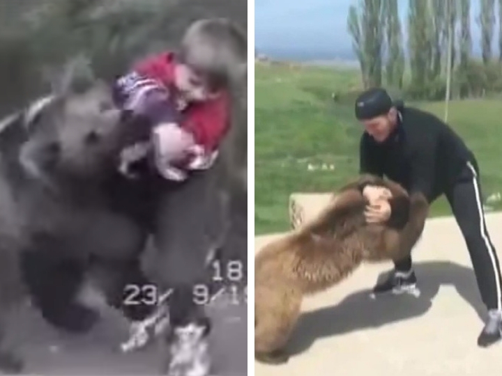 Бой за пределами октагона: Хабиб Нурмагомедов против медведя – ФОТО – ВИДЕО