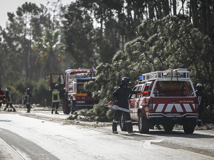 В Португалии тропический шторм оставил сотни тысяч домов без света
