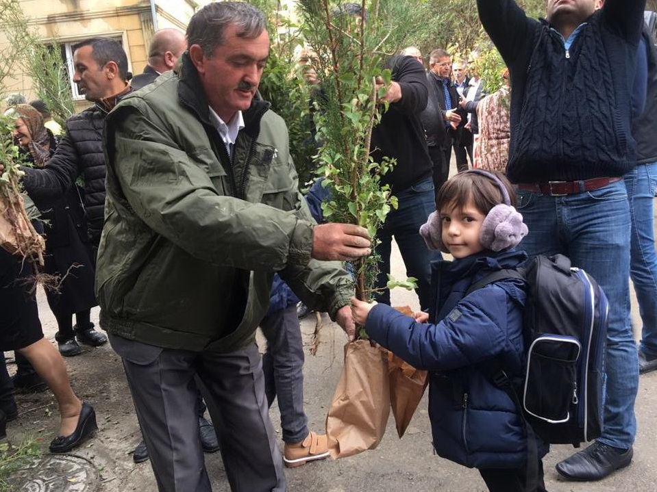 «Каждая семья посадит по дереву» – в Азербайджане проходит акция Минэкологии – ФОТО