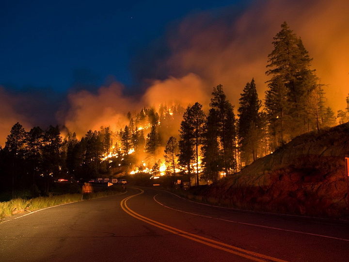 В Калифорнии более тысячи человек пропали без вести из-за пожаров