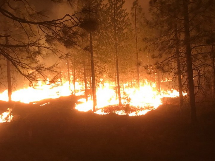 Число пропавших без вести при пожаре в Калифорнии возросло до 1276 человек