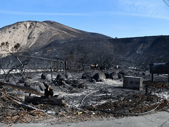 Ущерб от пожаров в Калифорнии оценили в $9-13 миллиардов долларов