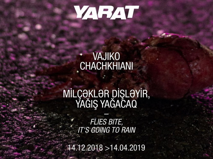 YARAT представляет персональную выставку грузинского художника Важико Чачхиани – ФОТО