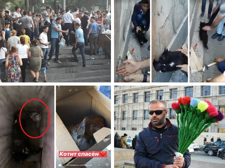 Доброта года: какими добрыми поступками запомнился нам 2018 год?