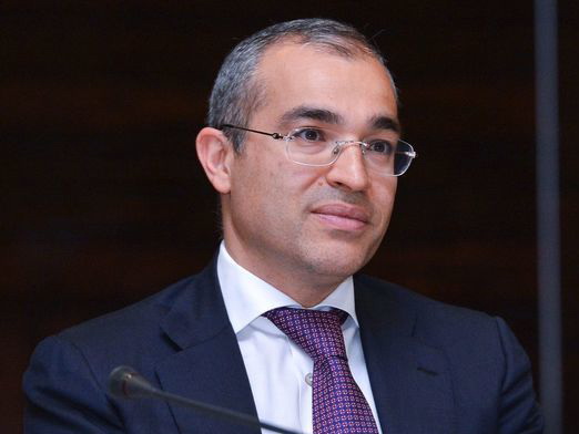Микаил Джаббаров: «Мы пока в начале пути реформирования налоговой системы»