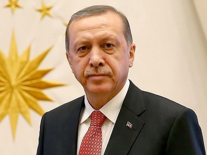 Президент Турции посетит Россию