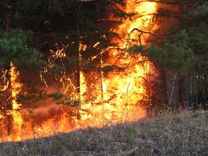 От забайкальских пожаров пострадали более 340 человек