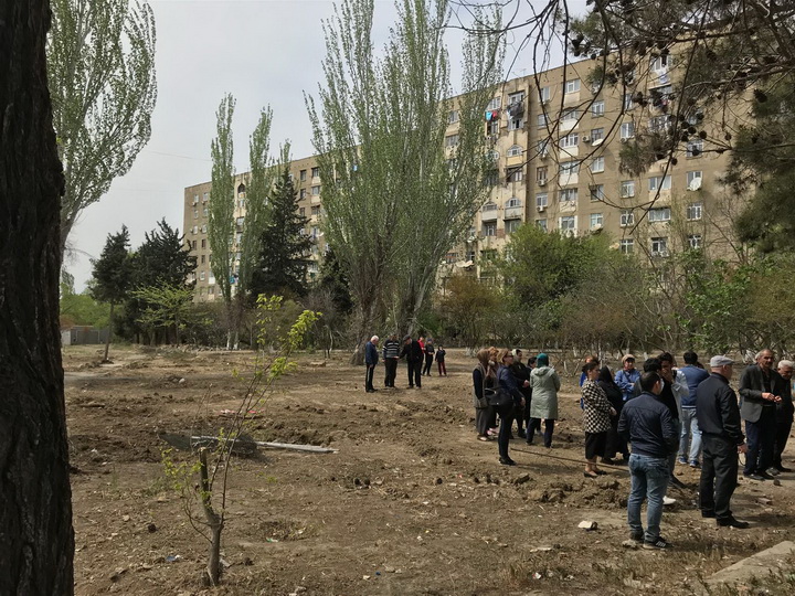 Генпрокуратура Азербайджана: Возбуждены уголовные дела по фактам вырубки свыше 4500 деревьев - ВИДЕО