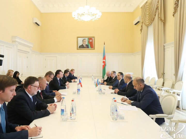Новруз Мамедов встретился с делегацией во главе с председателем Палаты депутатов Парламента Чехии - ФОТО