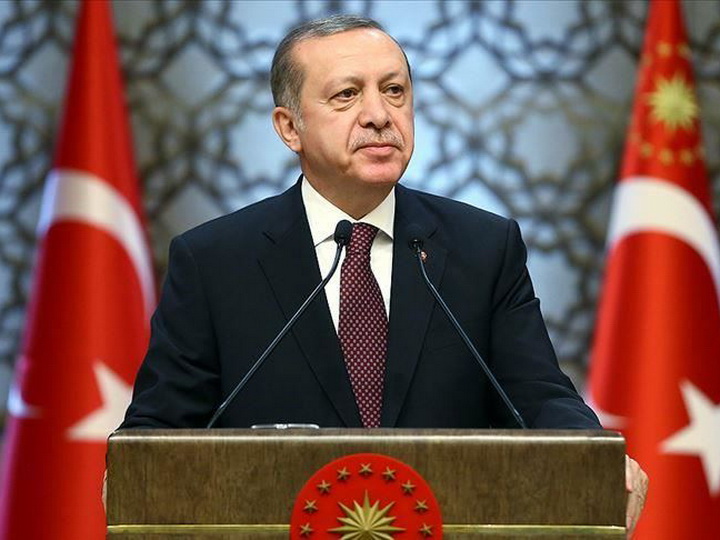 Эрдоган: Турция готова обратиться в арбитраж по вопросу F-35