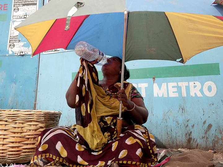 На северо-востоке Индии 29 человек погибли из-за аномальной жары