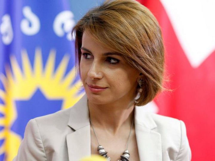 Вице-спикер парламента Грузии: «Есть прогресс в определениях границы «Кешикчидага»