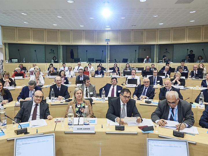 Состоялось специальное заседание Европейского суда по правам человека - ФОТО