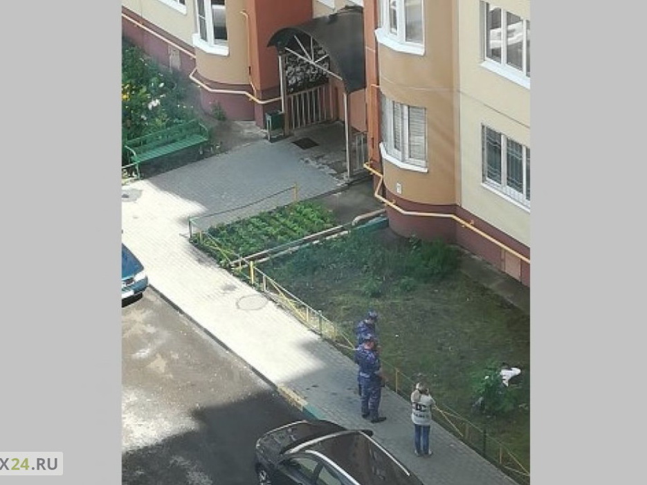 Мужчина, выбросивший породистую собаку с 8 этажа, сам выпал из окна