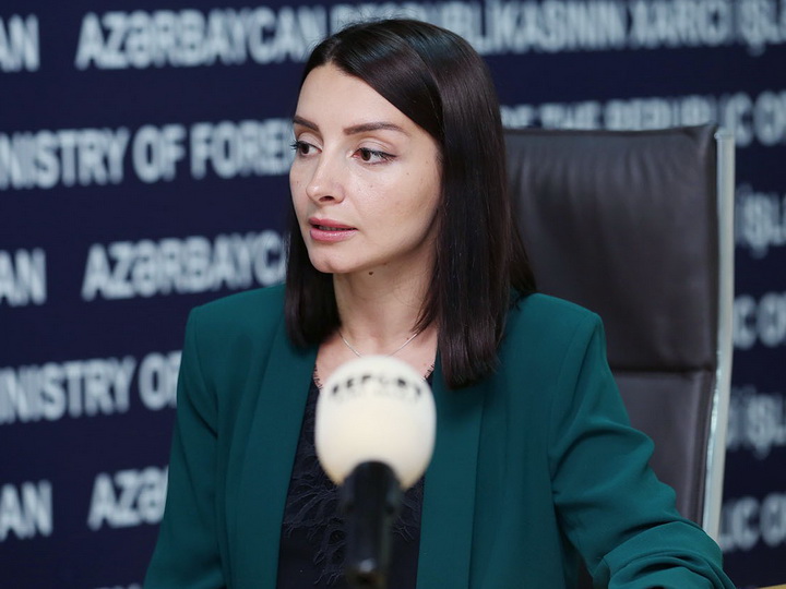 Leyla Abdullayeva: Bu hadisə Minsk qrupu həmsədrlərinin xalqların sülhə hazırlanması ilə bağlı çağırışına tam ziddir