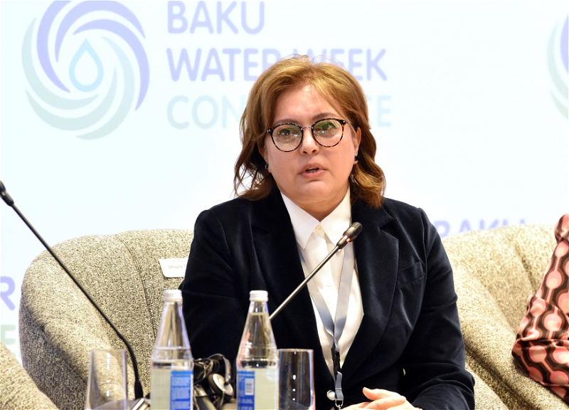Азербайджан поднимет перед странами-участницами COP29 проблему нехватки воды