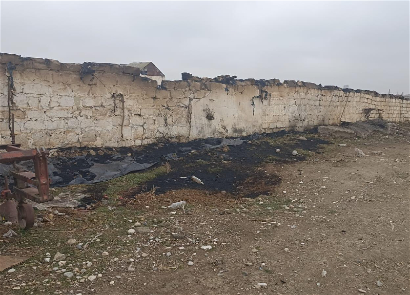 Goranboyda ferma yandırılıb, 230 baş heyvan tələf olub - FOTO