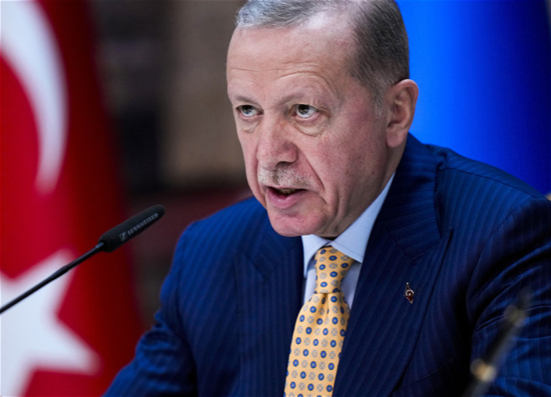 Эрдоган: Шаги Турции по Карабаху наталкивались на противодействие глобальных сил