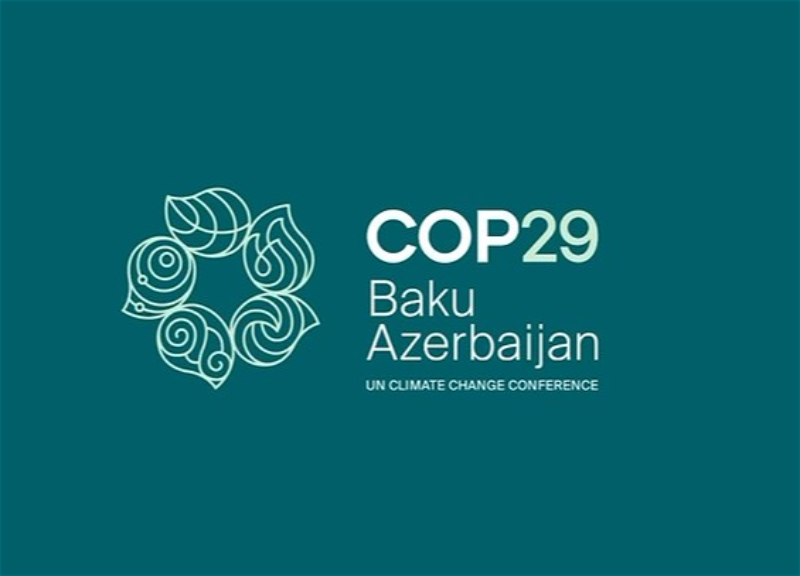 COP29: О том, как в ноябре Баку станет центром мира и что это даст Азербайджану - ВИДЕО