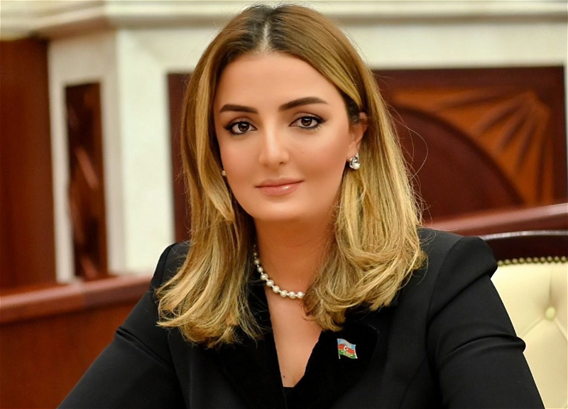 Депутат: США должны были приветствовать уход миротворческой миссии и поздравить Азербайджан