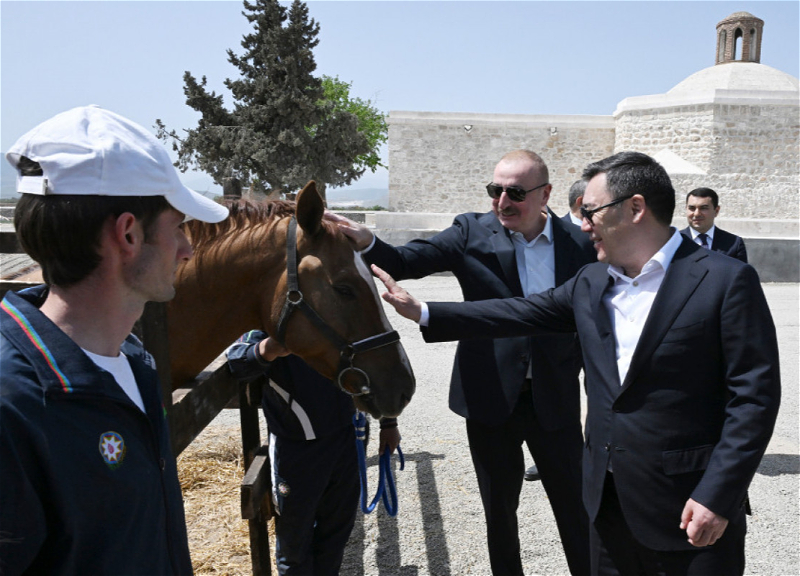 Президент Ильхам Алиев подарил Садыру Жапарову карабахского скакуна