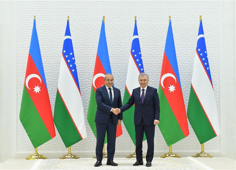 Президент Узбекистана принял азербайджанскую делегацию - ФОТО
