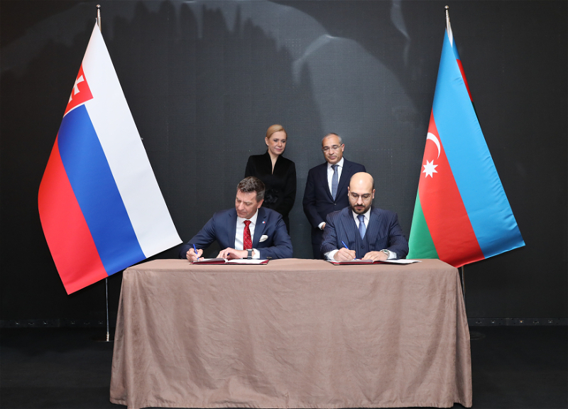 Между Азербайджаном и Словакией подписаны документы - ФОТО