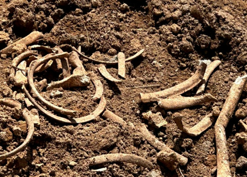 В Ходжалы вновь обнаружены фрагменты человеческих костей