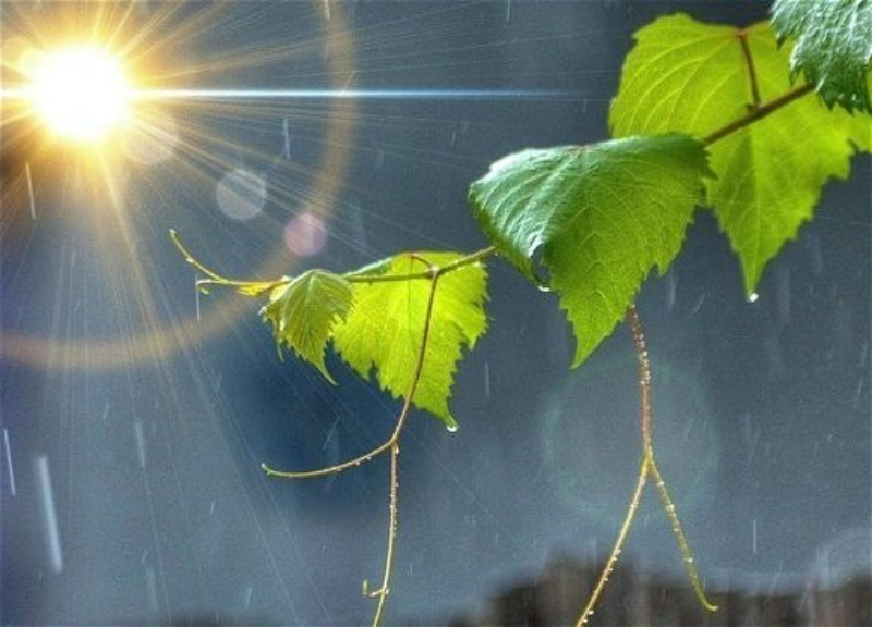 Где в Азербайджане прошли дожди, а где было +41°C?
