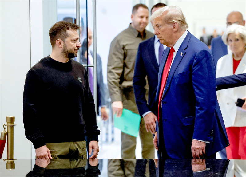 Белый дом опубликовал расписание встречи Трампа с Зеленским и лидерами ЕС