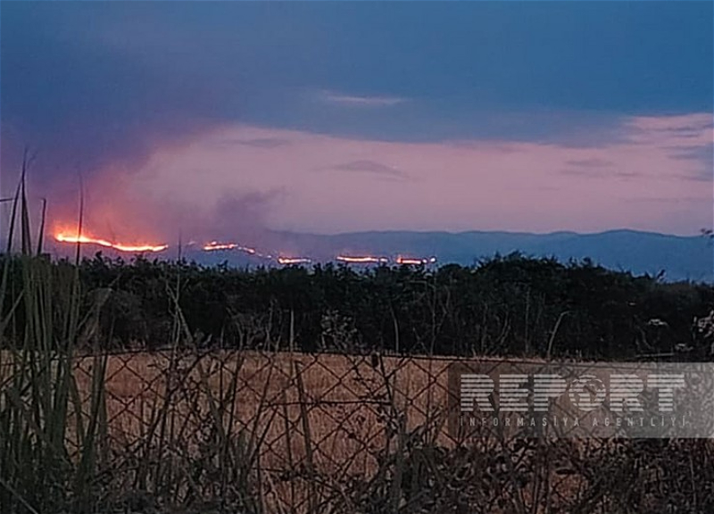 Лесной пожар в Агдере из-за ветра распространился на территорию Агдама