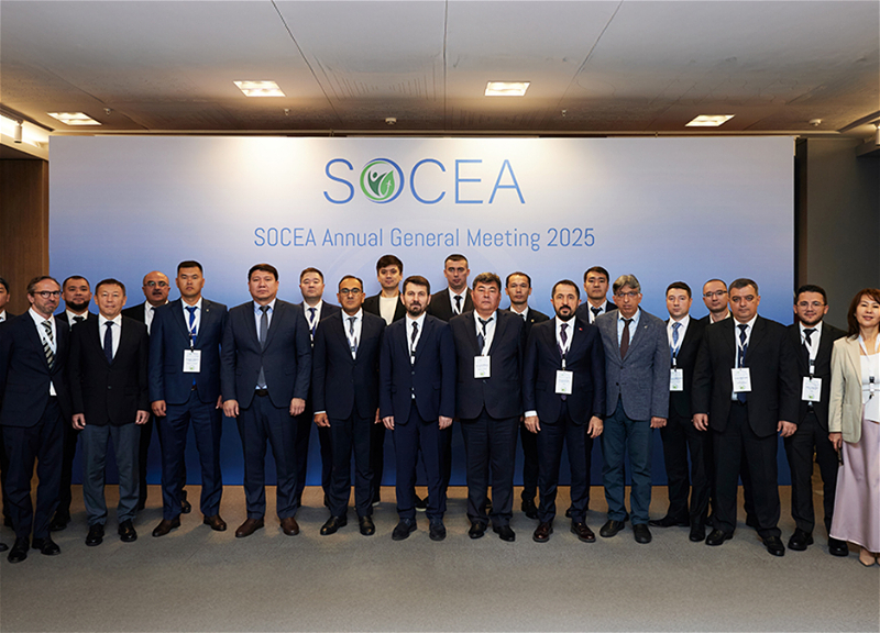 Азербайджан будет председательствовать в SOCEA - ФОТО