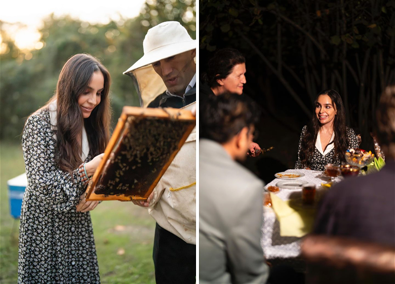 Лейла Алиева встретилась с участницей проекта «Молодой пчеловод» в Габале - ФОТО