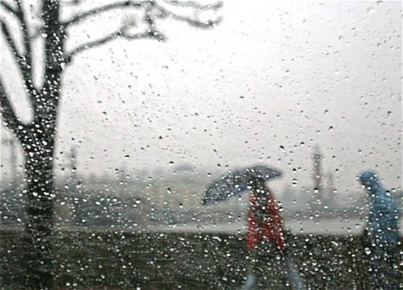 Какой будет погода в первый день недели? - ПРОГНОЗ