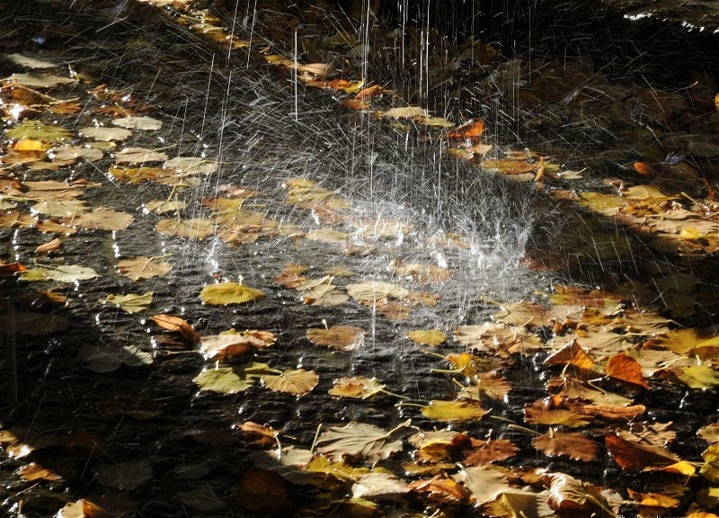 Погода на вторник: В Баку ожидаются ливни