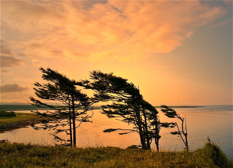 Погода на среду: В Баку усилится ветер