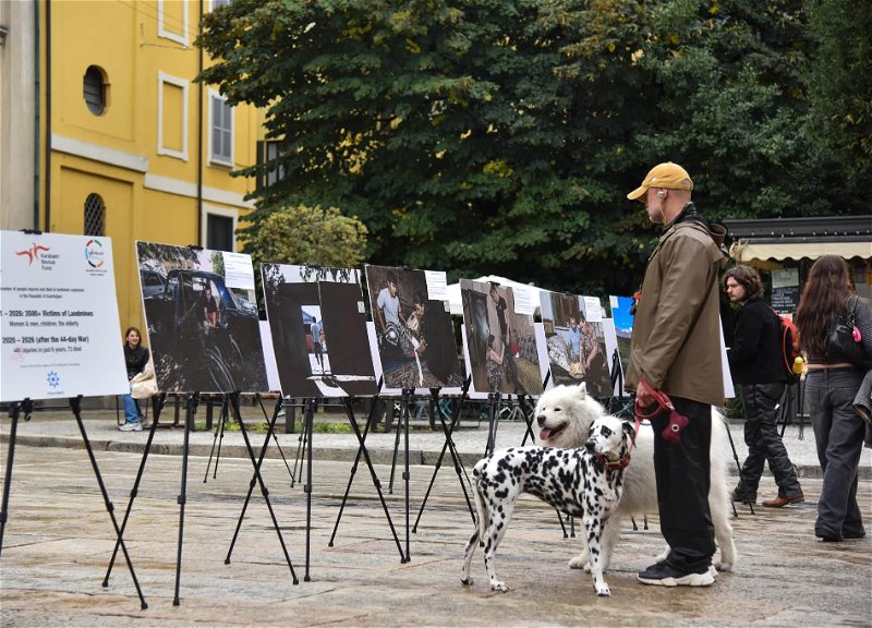 Кампания «Мир без мин»: в Милане прошла фотовыставка о последствиях минной проблемы в Азербайджане - ФОТО
