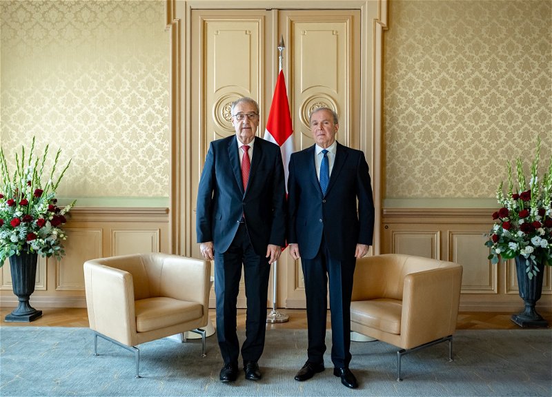 Вагиф Садыгов вручил верительные грамоты президенту Швейцарии - ФОТО
